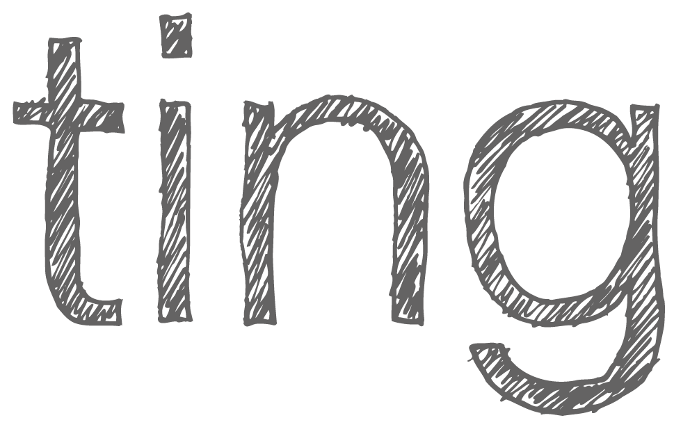 ting shop